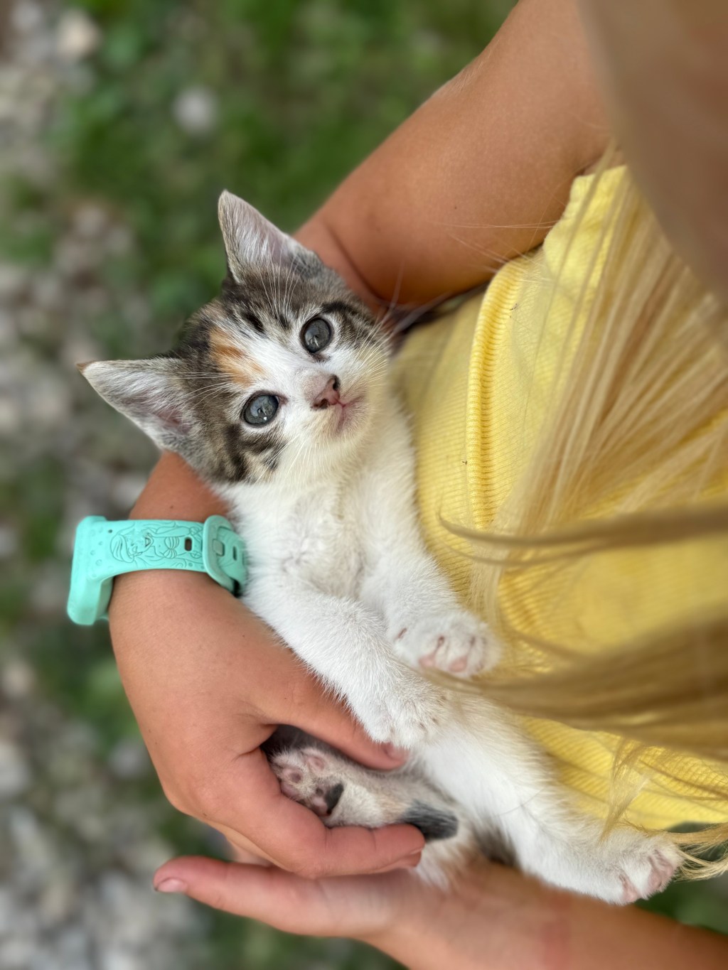 “No one will ever see it…”