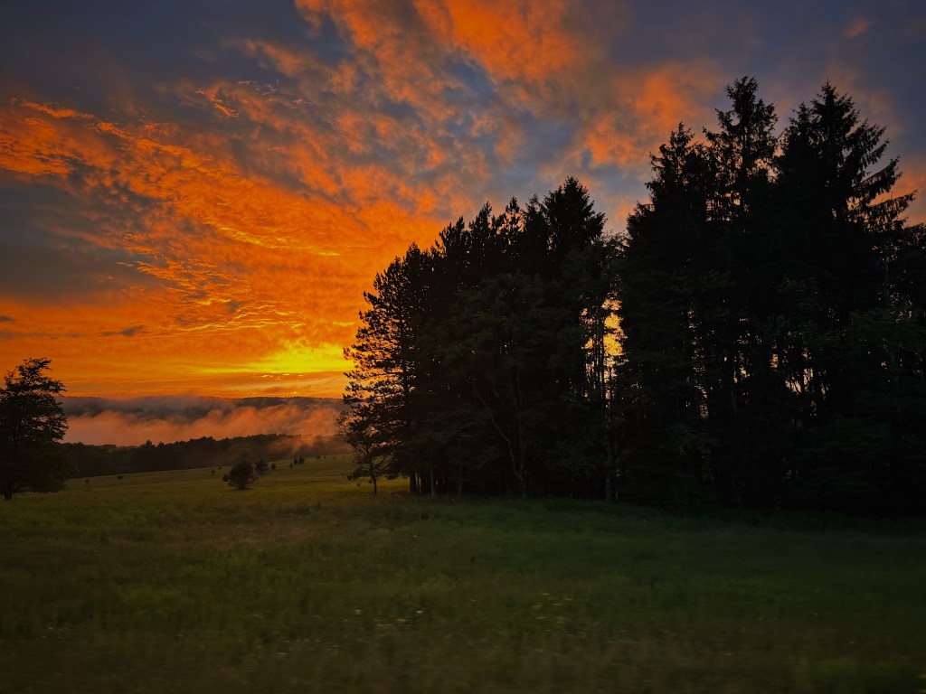 “But mama, I need&nbsp;you.”