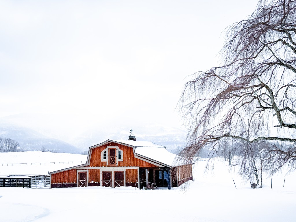 No Amount of&nbsp;Words