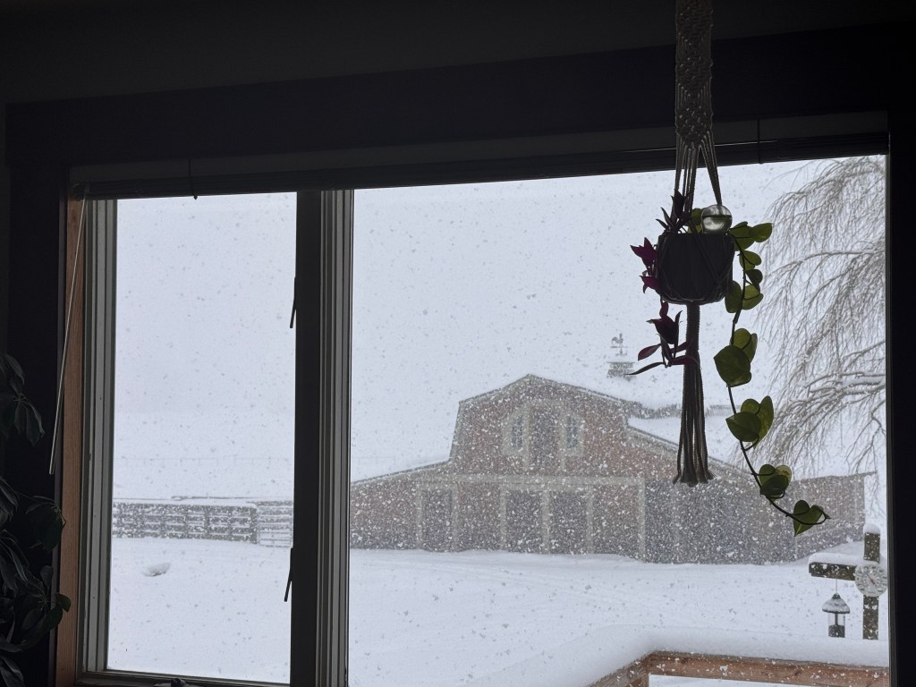 We are not the&nbsp;same